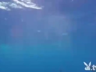 Frestande tremendous babes simning med den shark