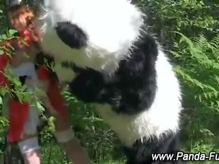 Pliušinis panda fairytale už raudonas jojimas gaubtas