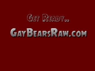 Gay Bear Hunks Anal Pounding