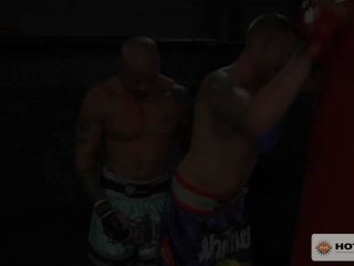 Бокс треньор sean доминира джеймс стегнат задник