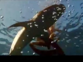 傑西卡 alba 在 enchanting 比基尼泳裝