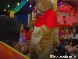 Dancingbear давам на подарък на чеп кейти къмингс