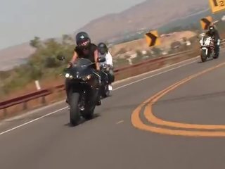 Bunga aster motorcycle